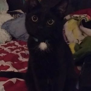 Meet your Posher, Mirella